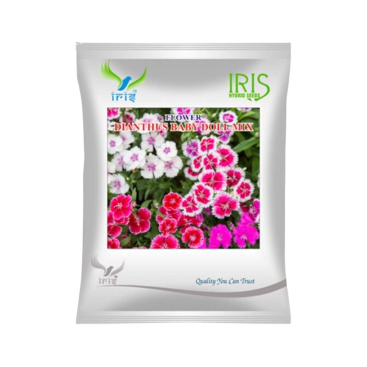 Iris Hybrid Dianthus Baby Doll Mix Flower Seeds (300 Seeds)