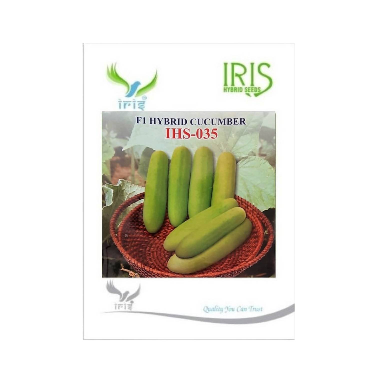 Iris Hybrid Cucumber IHS 035 Vegetable Seeds