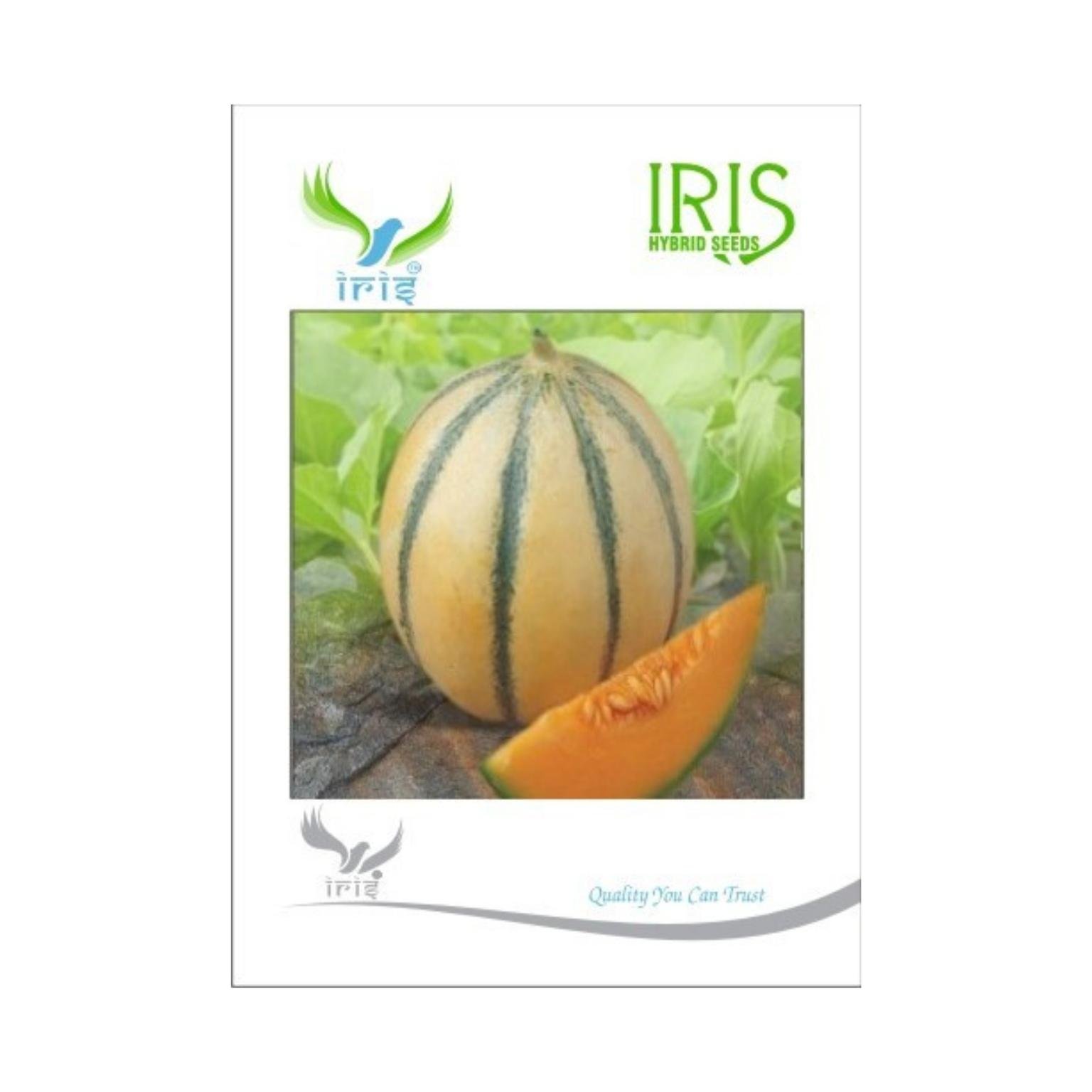 Iris Hybrid Musk Melon Fruit Seeds