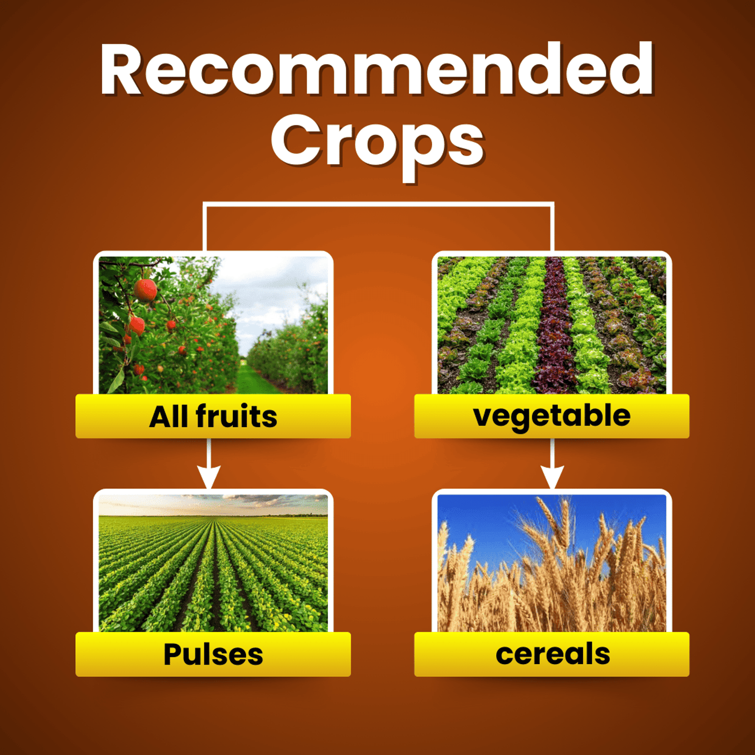 Katyayani Nutritious Triacontanol 0.1% EW Plant Growth Regulator