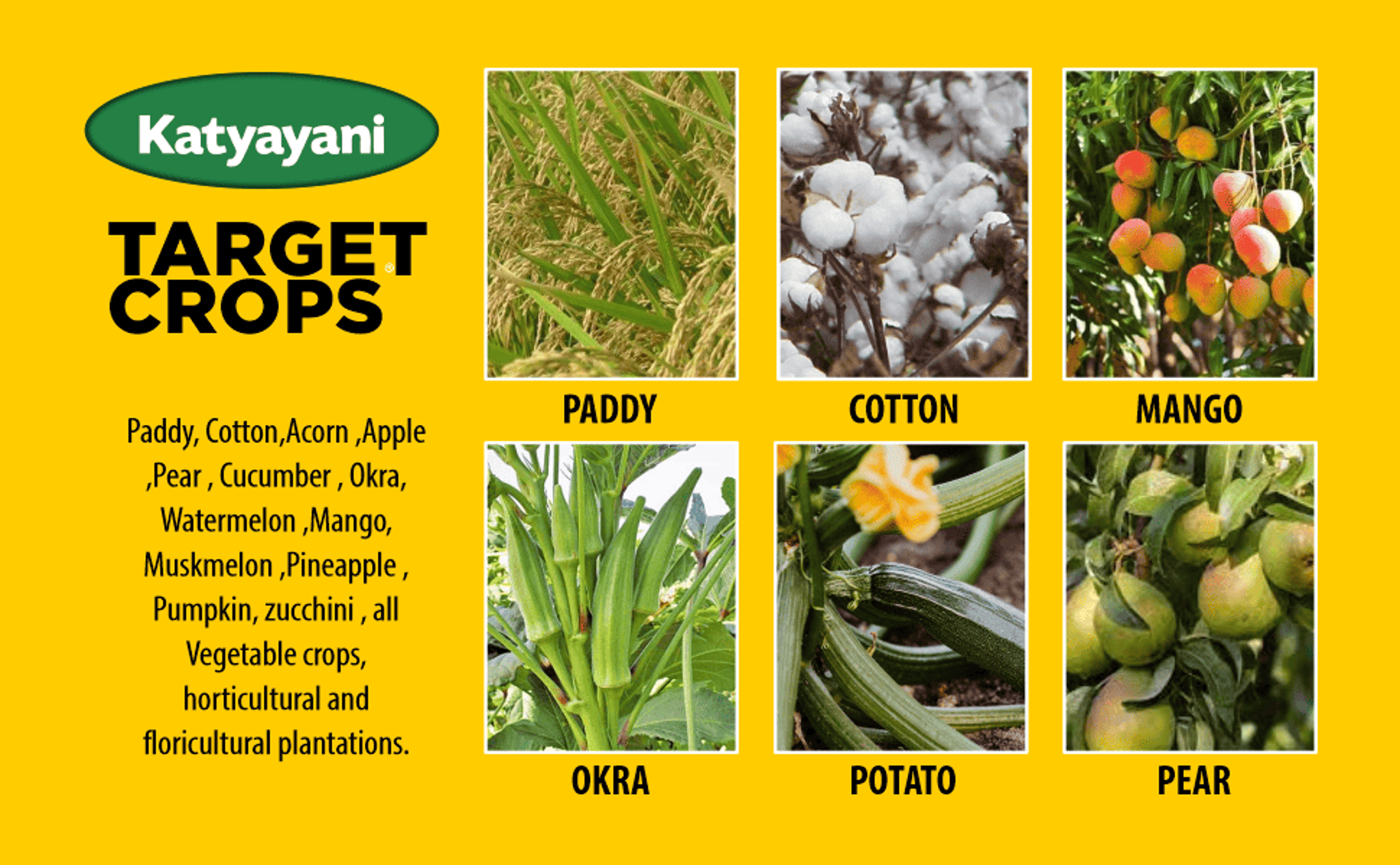 Katyayani Apocalypse Dinotefuran 20% sg