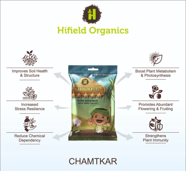 Chamatkar 5 Star