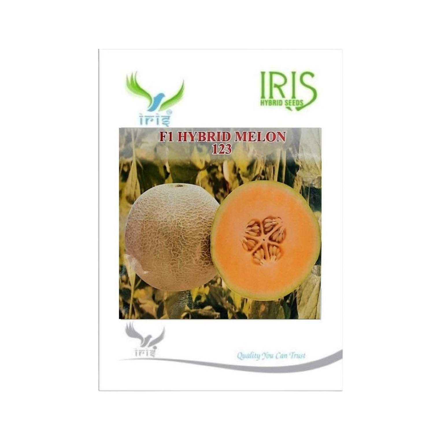 Iris Hybrid Musk Melon123 Fruit Seeds