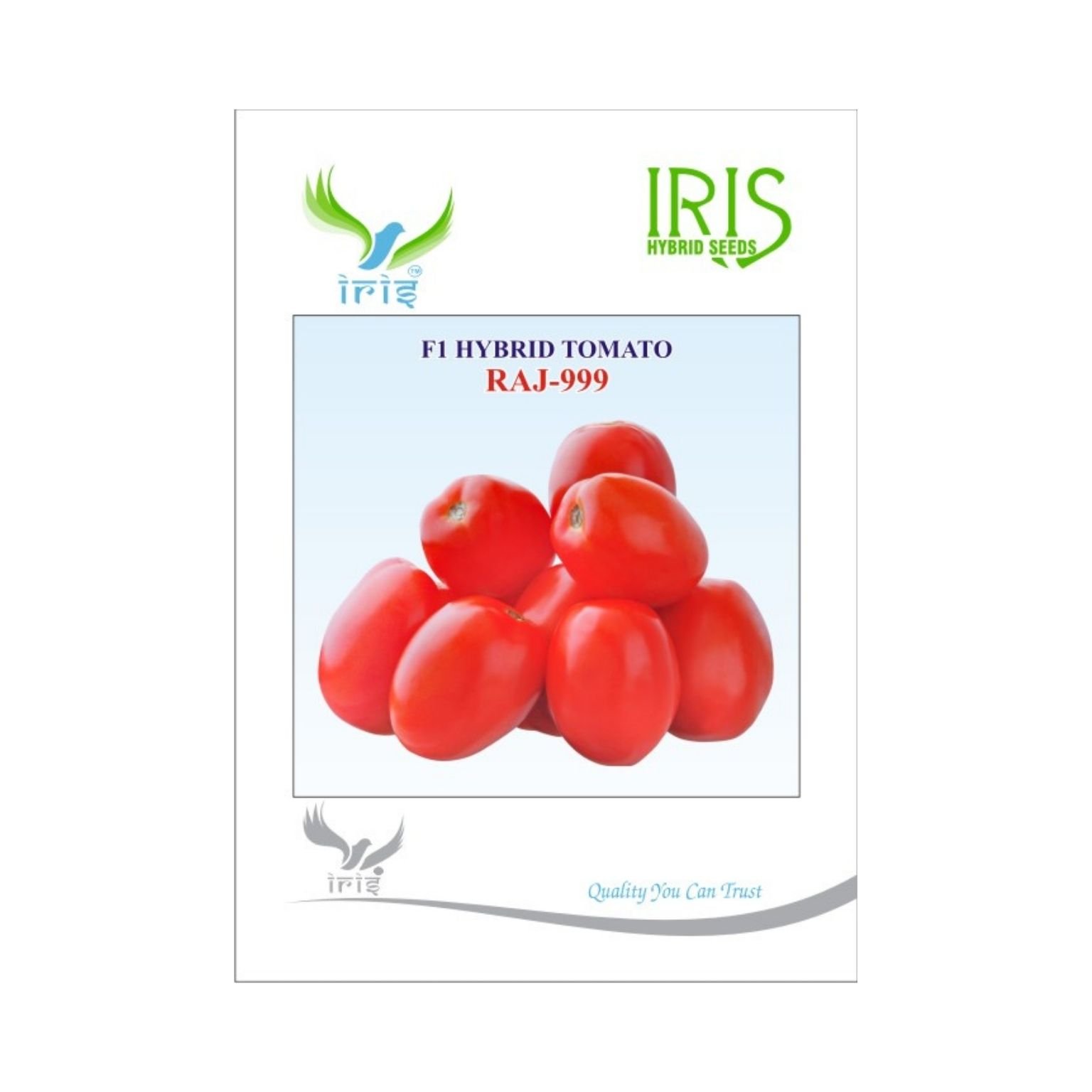 Iris Hybrid Tomato RAJ 999 Vegetable Seeds