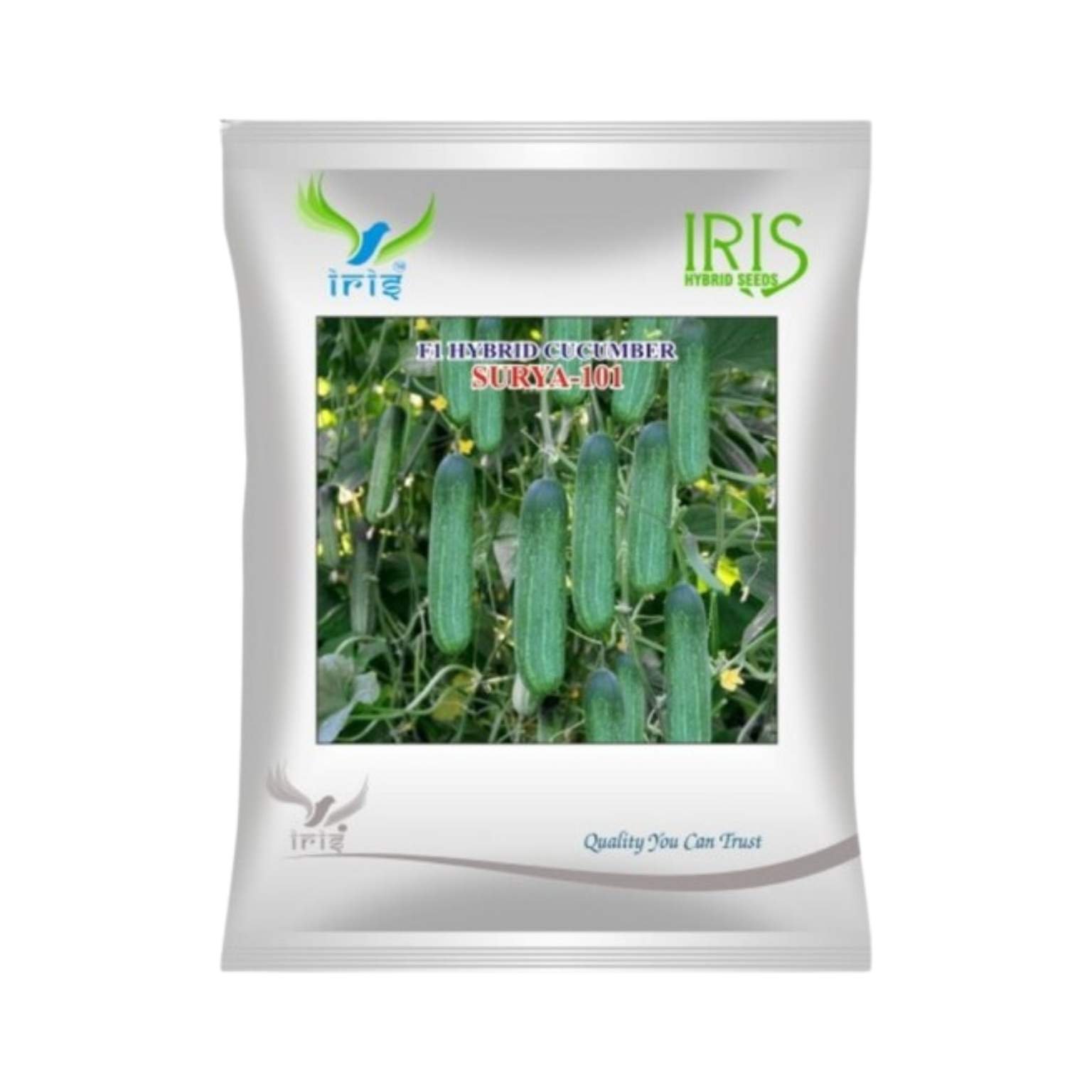 Iris Hybrid Cucumber Surya 101 Vegetable Seeds
