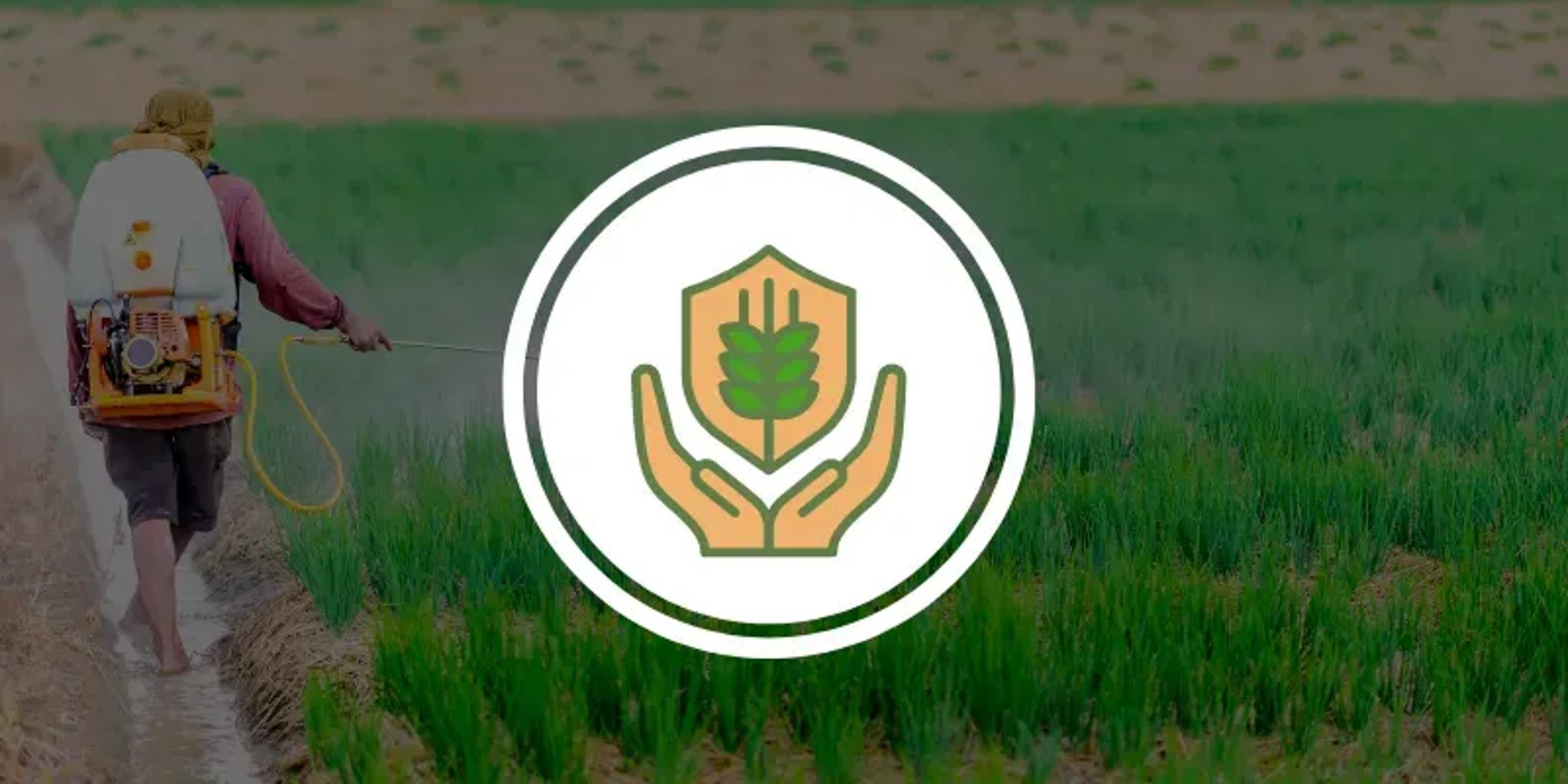 FUNGICIDES