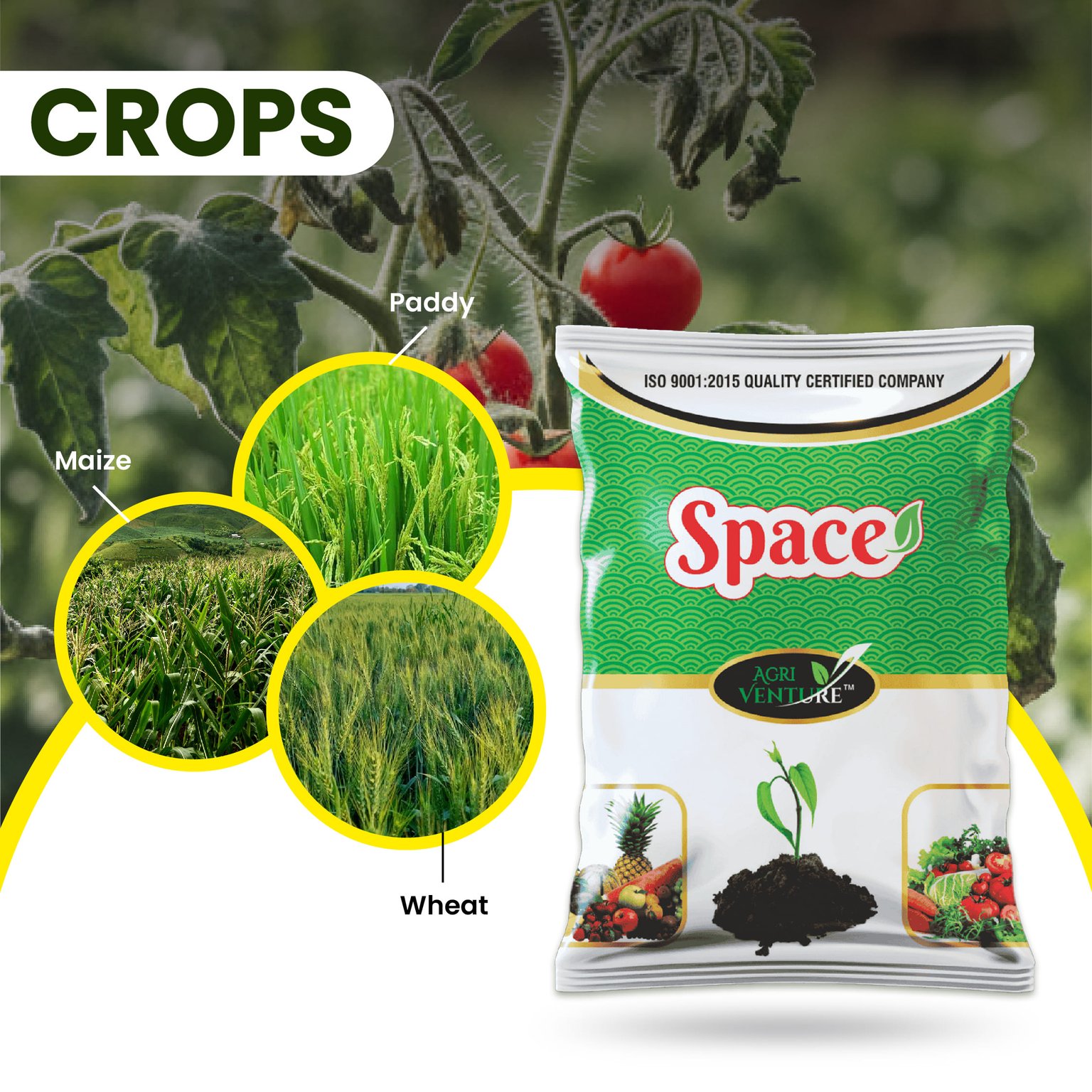 Agri Venture Space Seaweed Extract Plant Growth Regulator