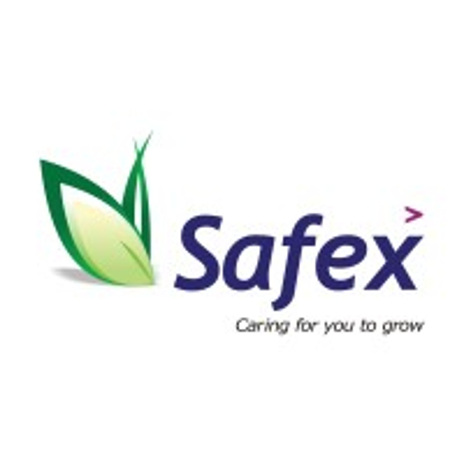 Safex Chemicals India Ltd