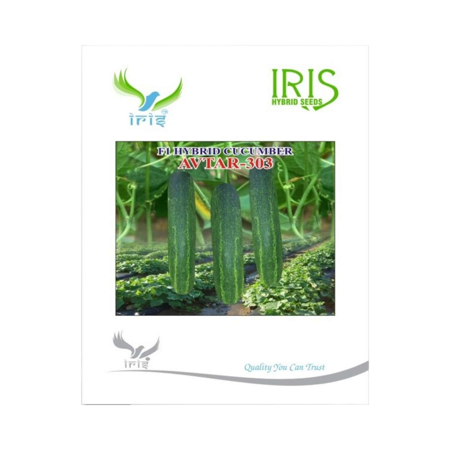Iris Hybrid Cucumber Avtar 303 Vegetable Seeds