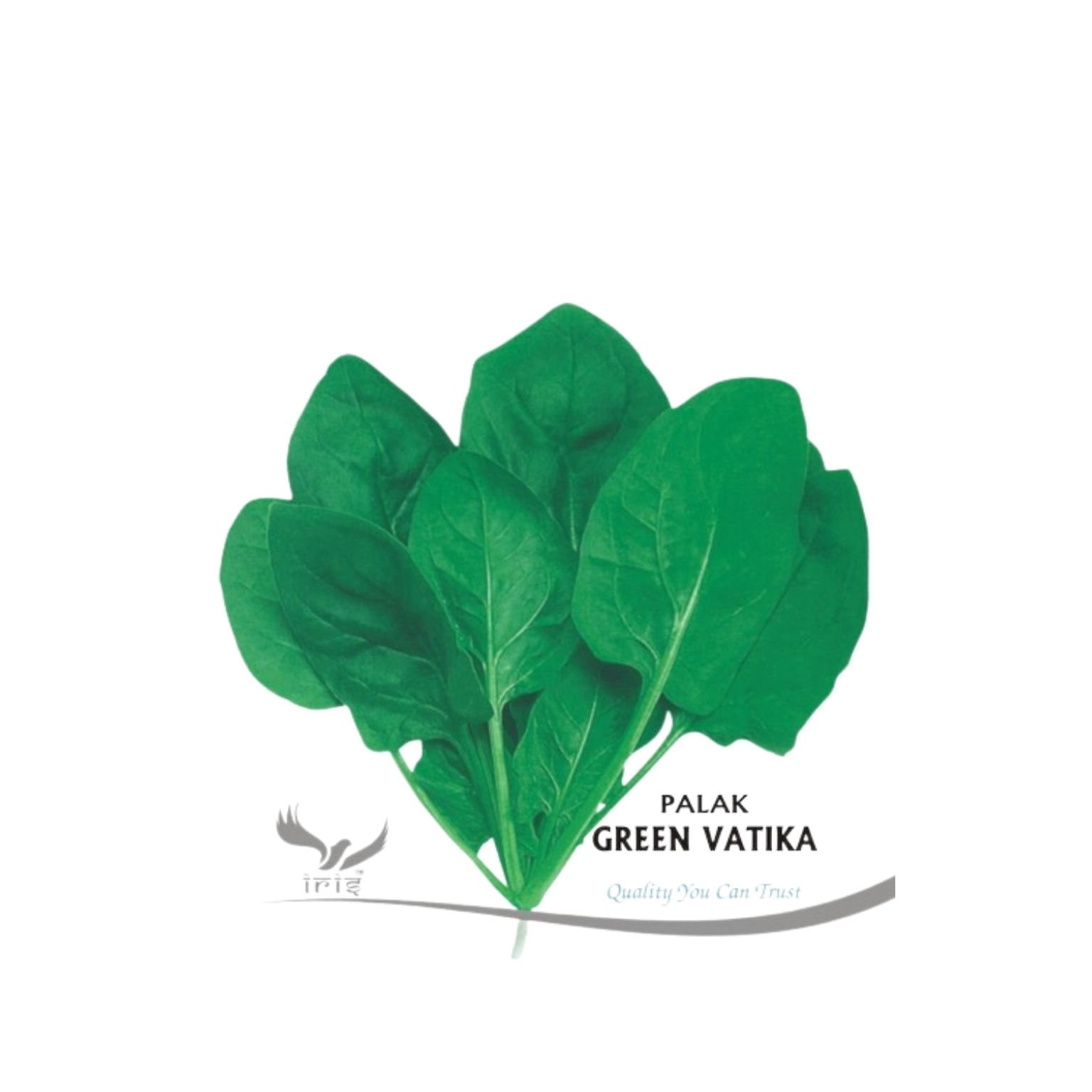 Iris Hybrid Palak Green Vatika Vegetable Seeds
