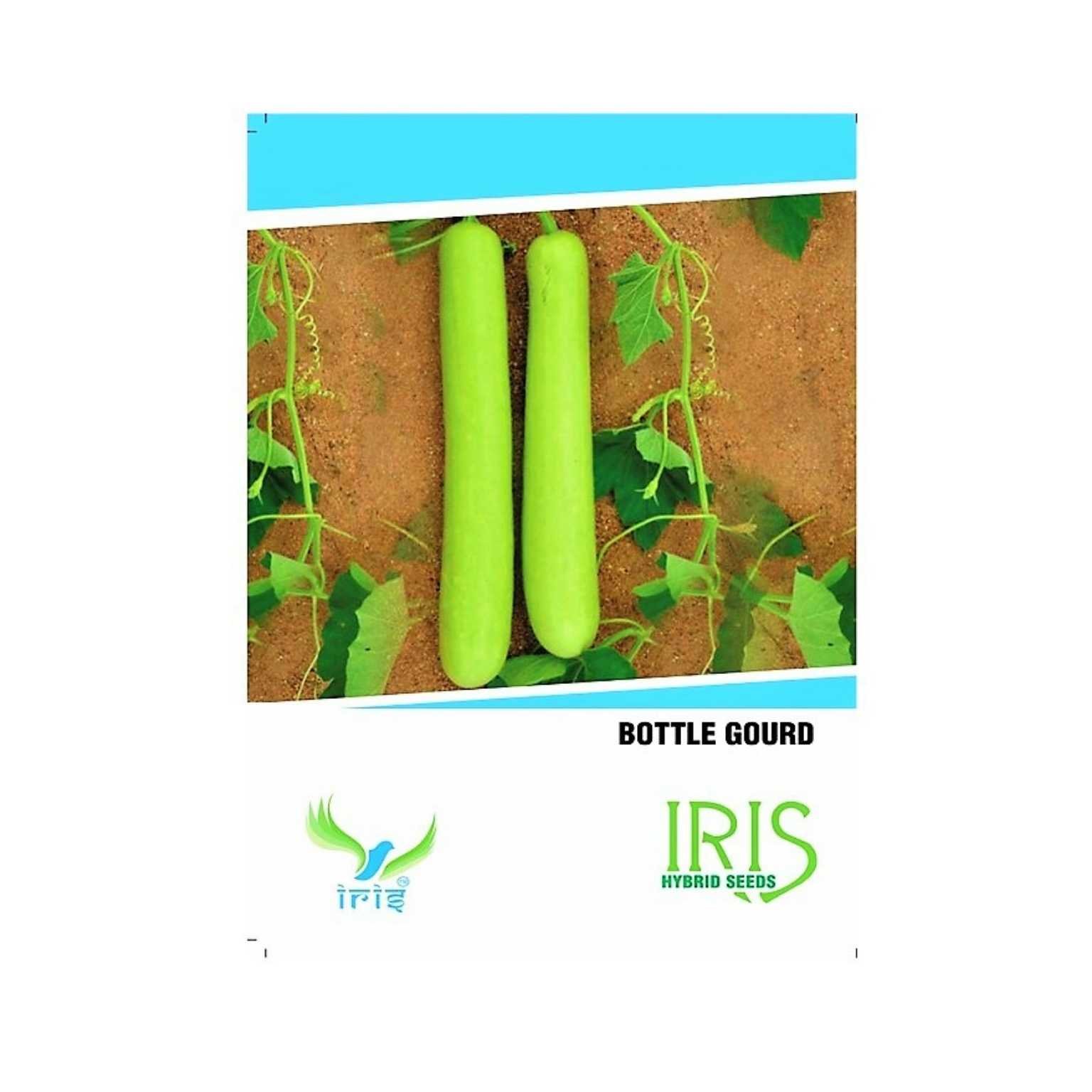 Iris Hybrid Bottle Gourd Long Vegetable Seeds