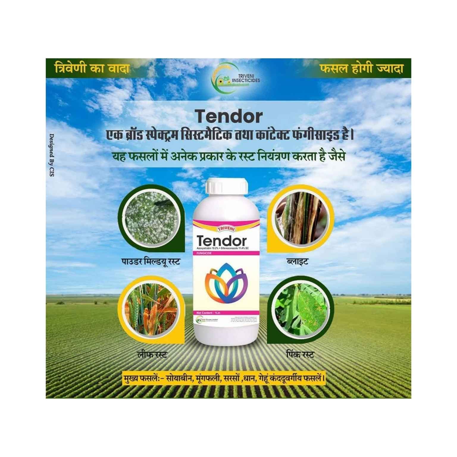 Triveni Tendor Azoxystrobin 18.2% + Difenoconazole 11.4% SC Fungicide