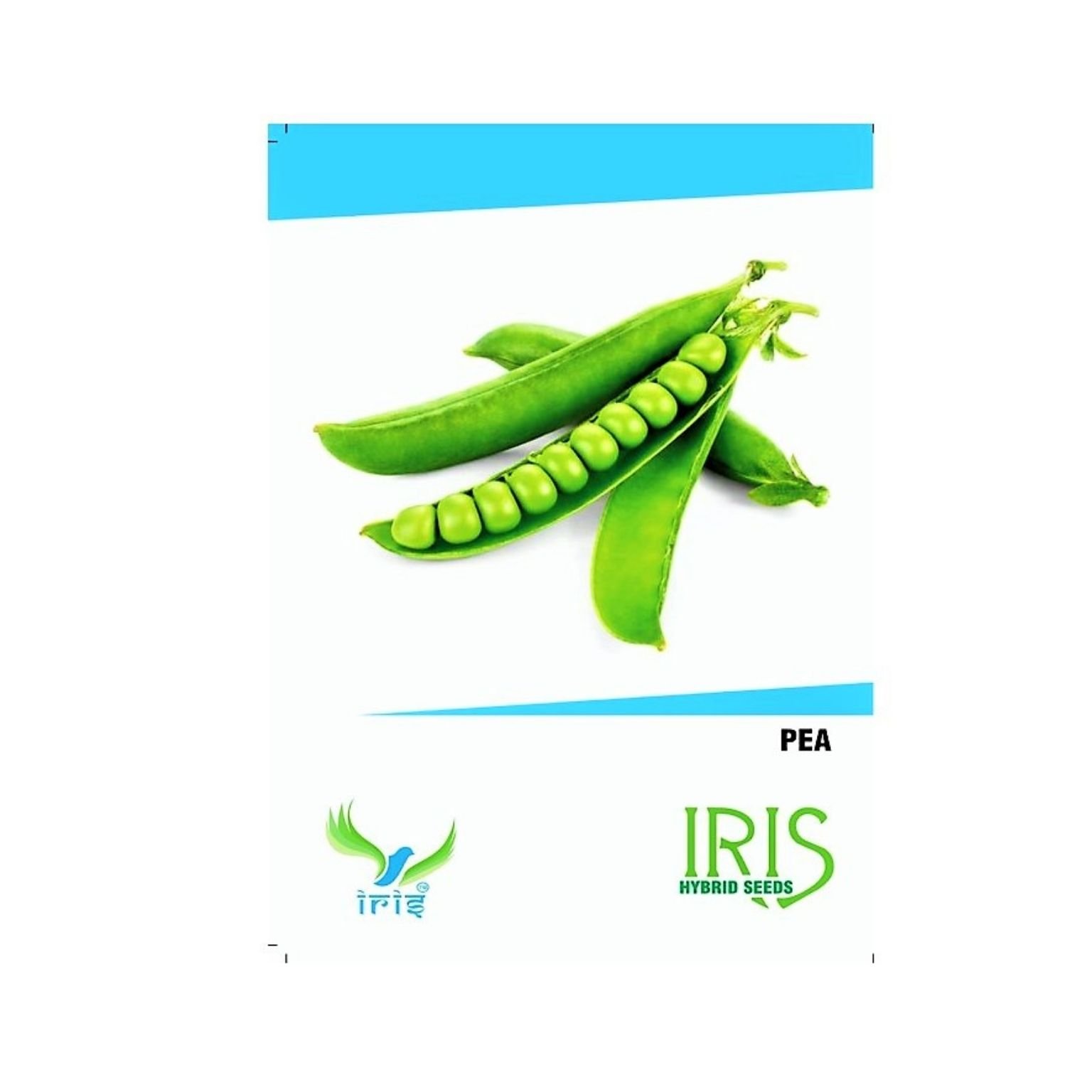 Iris Hybrid Peas Vegetable Seeds