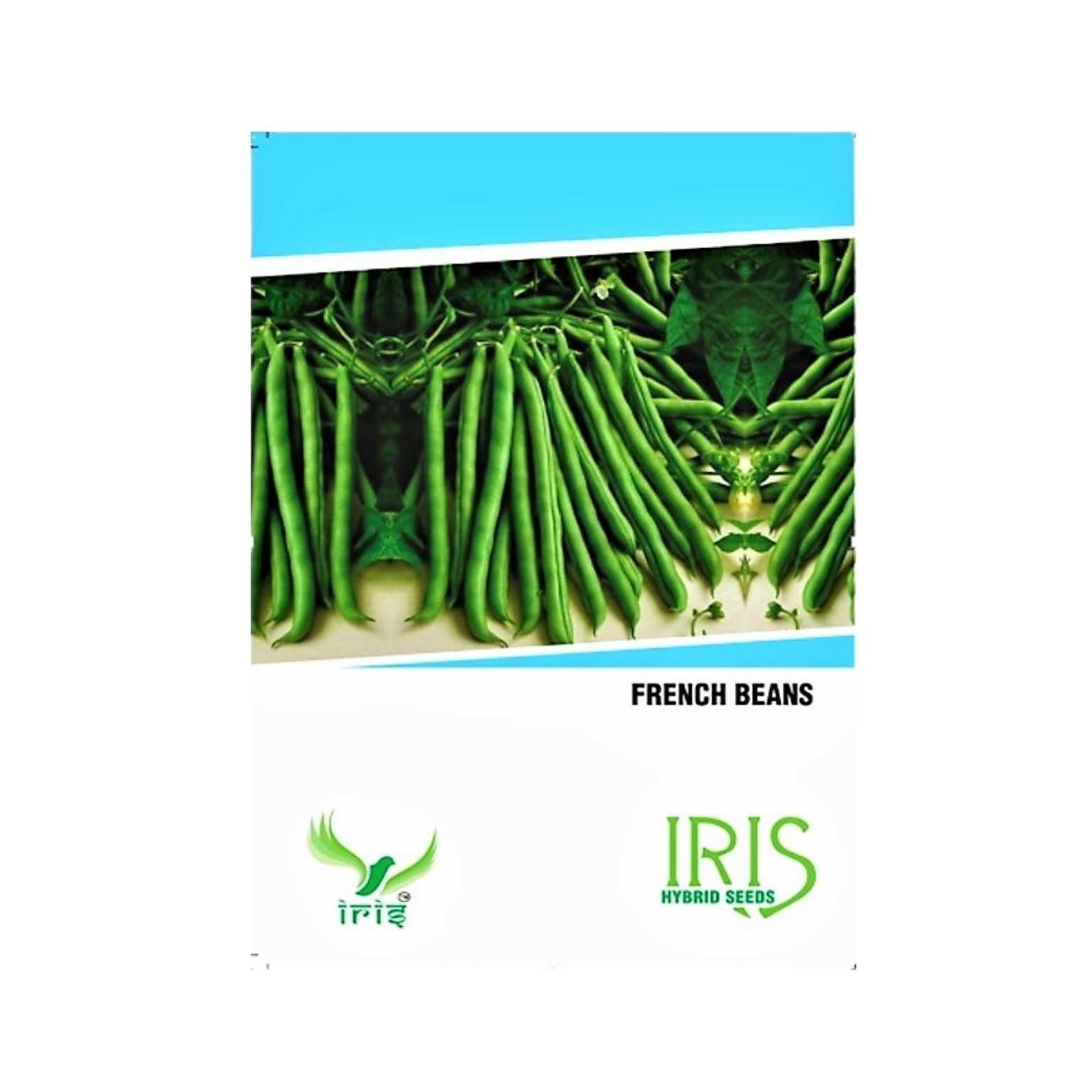 Iris Hybrid French Beans Vegetable Seeds
