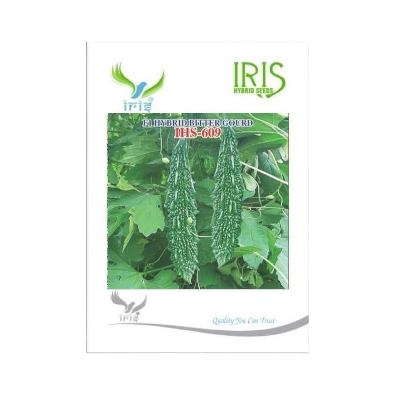 Iris Hybrid Bitter Gourd IHS 609  Vegetable Seeds