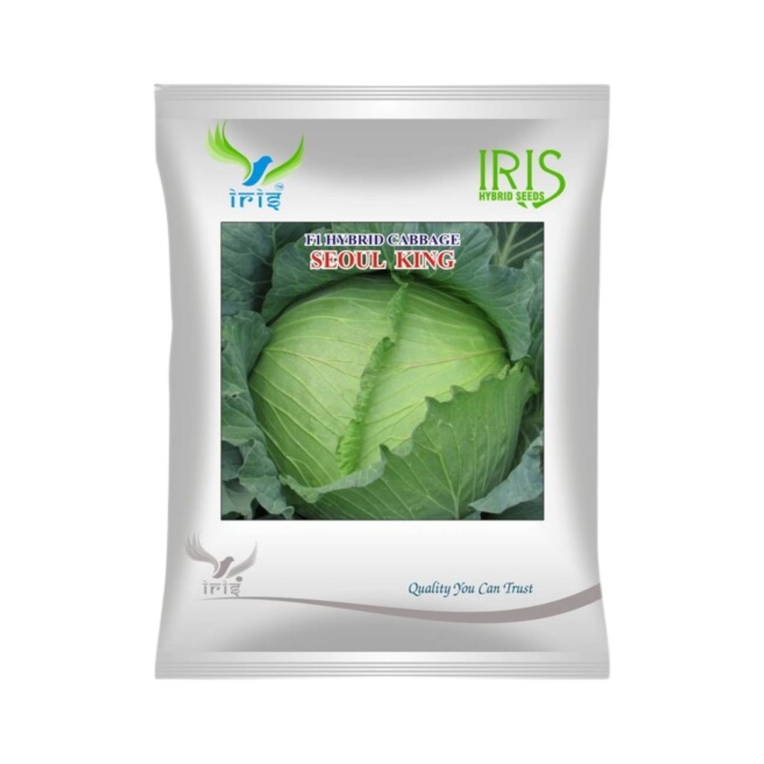 Iris Hybrid Cabbage Seoul King Vegetable Seeds