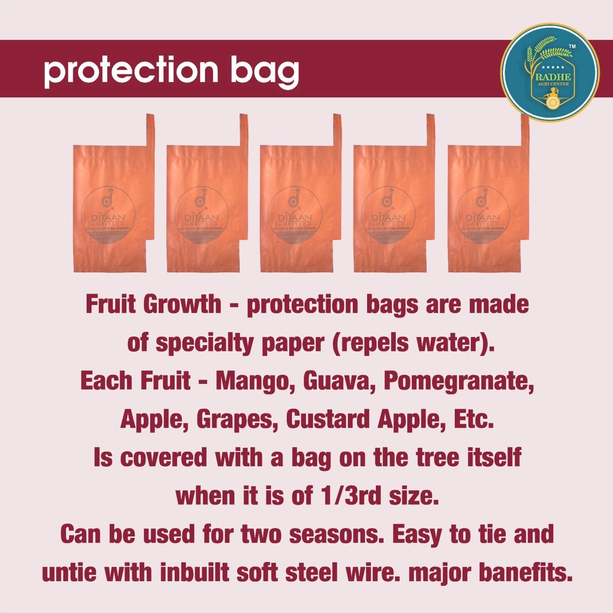 High Quality Mango Protection