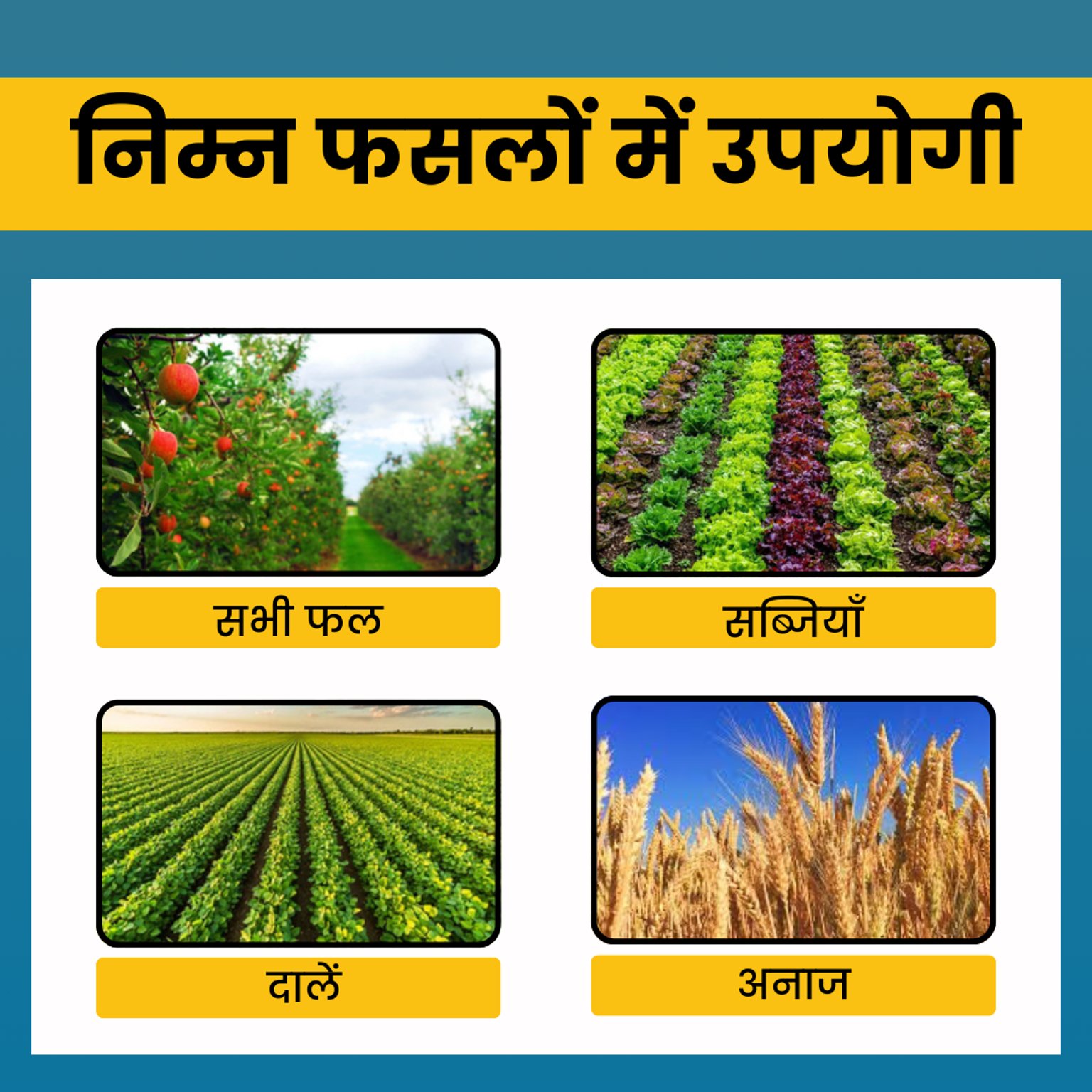 KATYAYANI SAMARTHA | CARBENDAZIM 12% + MANCOZEB 63% WP | CHEMICAL FUNGICIDE