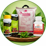 Crop Nutrition