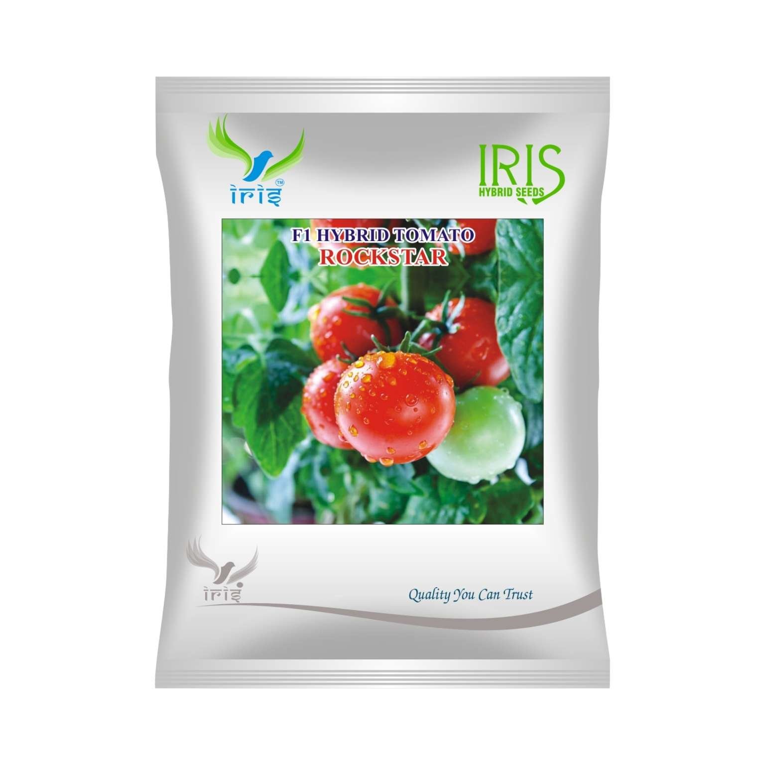 Iris Hybrid Tomato Rockstar Vegetable Seeds