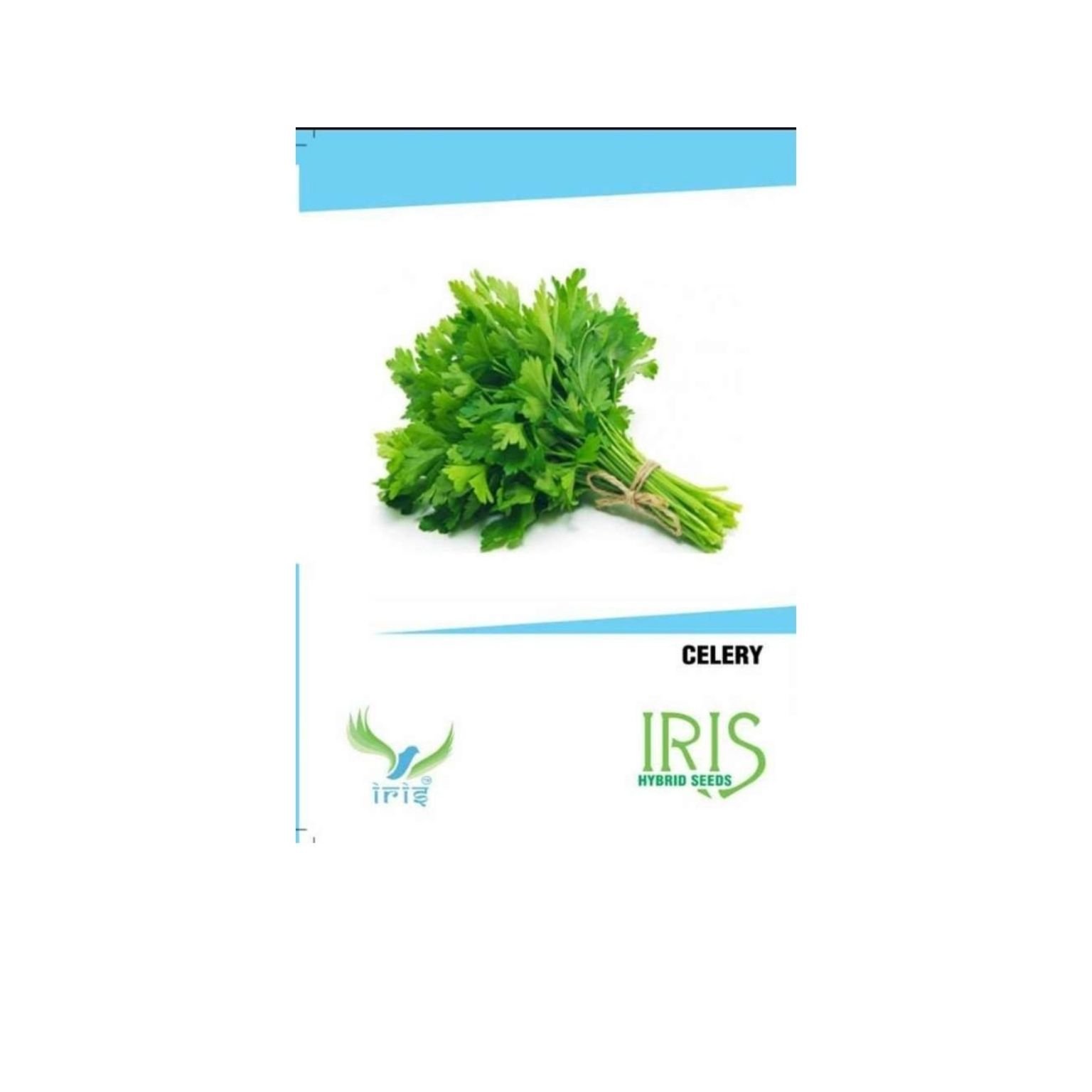 Iris Hybrid Celery Vegetable Seeds