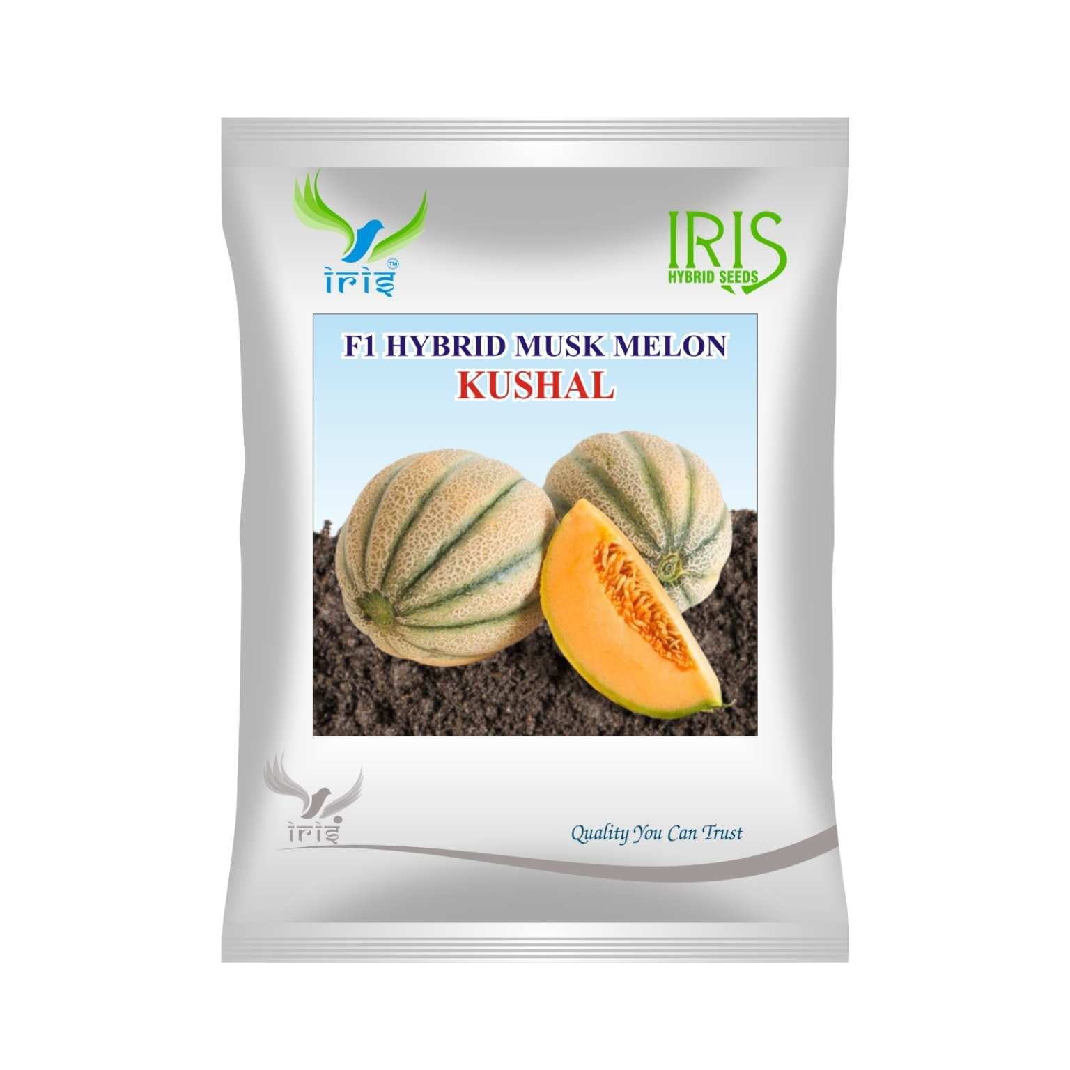 Iris Hybrid Musk Melon Kushal Fruit Seeds