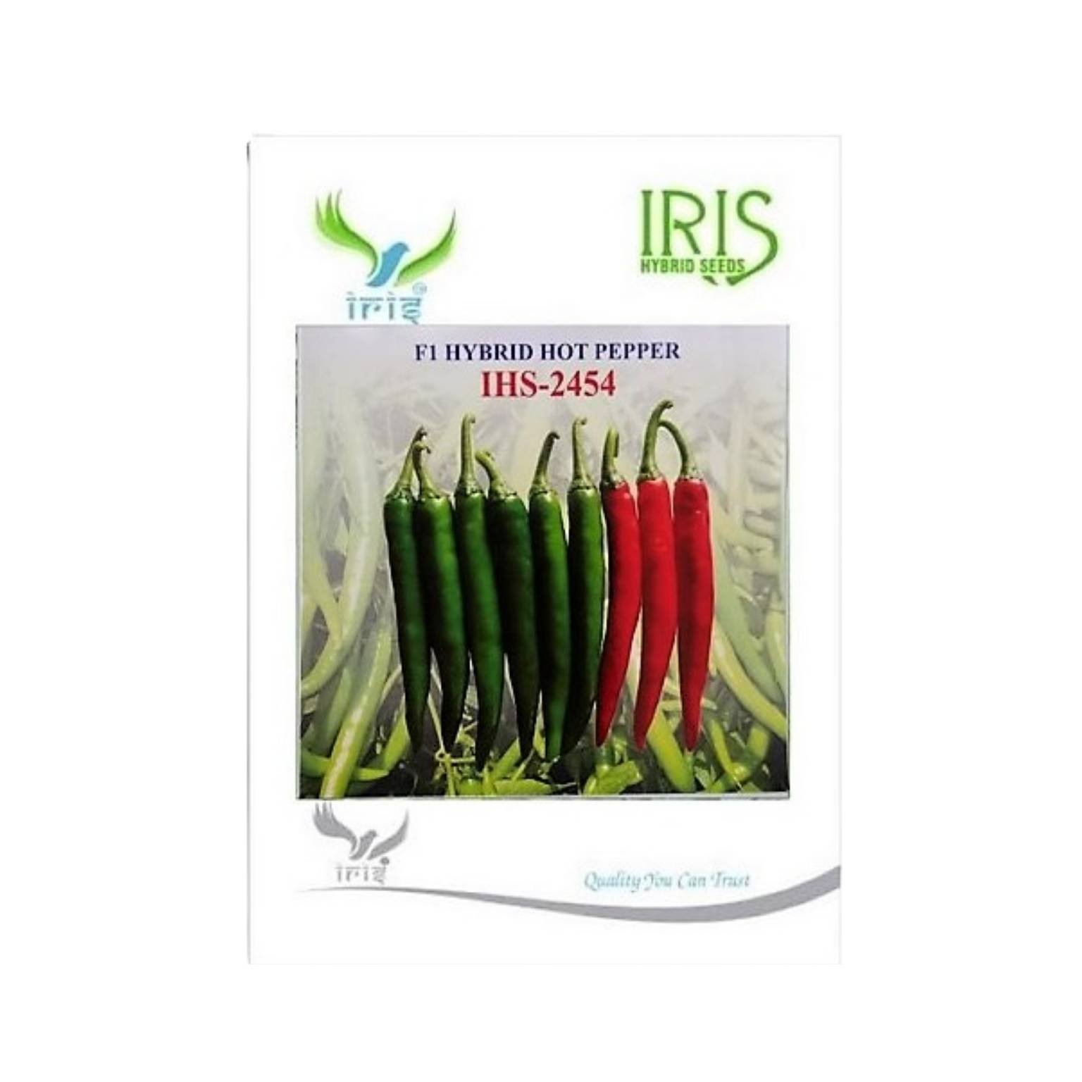 Iris Hybrid Hot Pepper (Chilli) IHS 2454 Vegetable Seeds