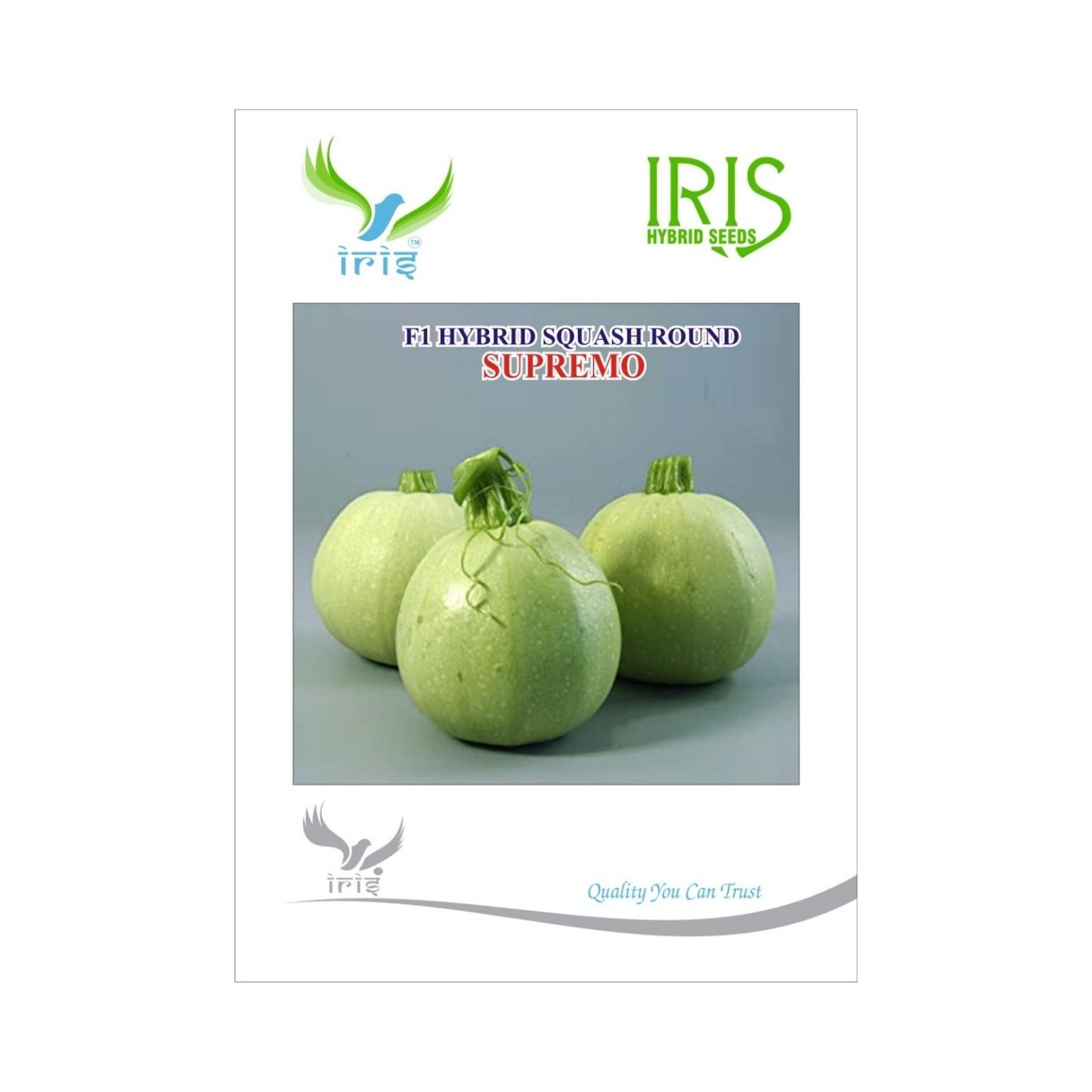 Iris Hybrid Squash Supremo Vegetable Seeds