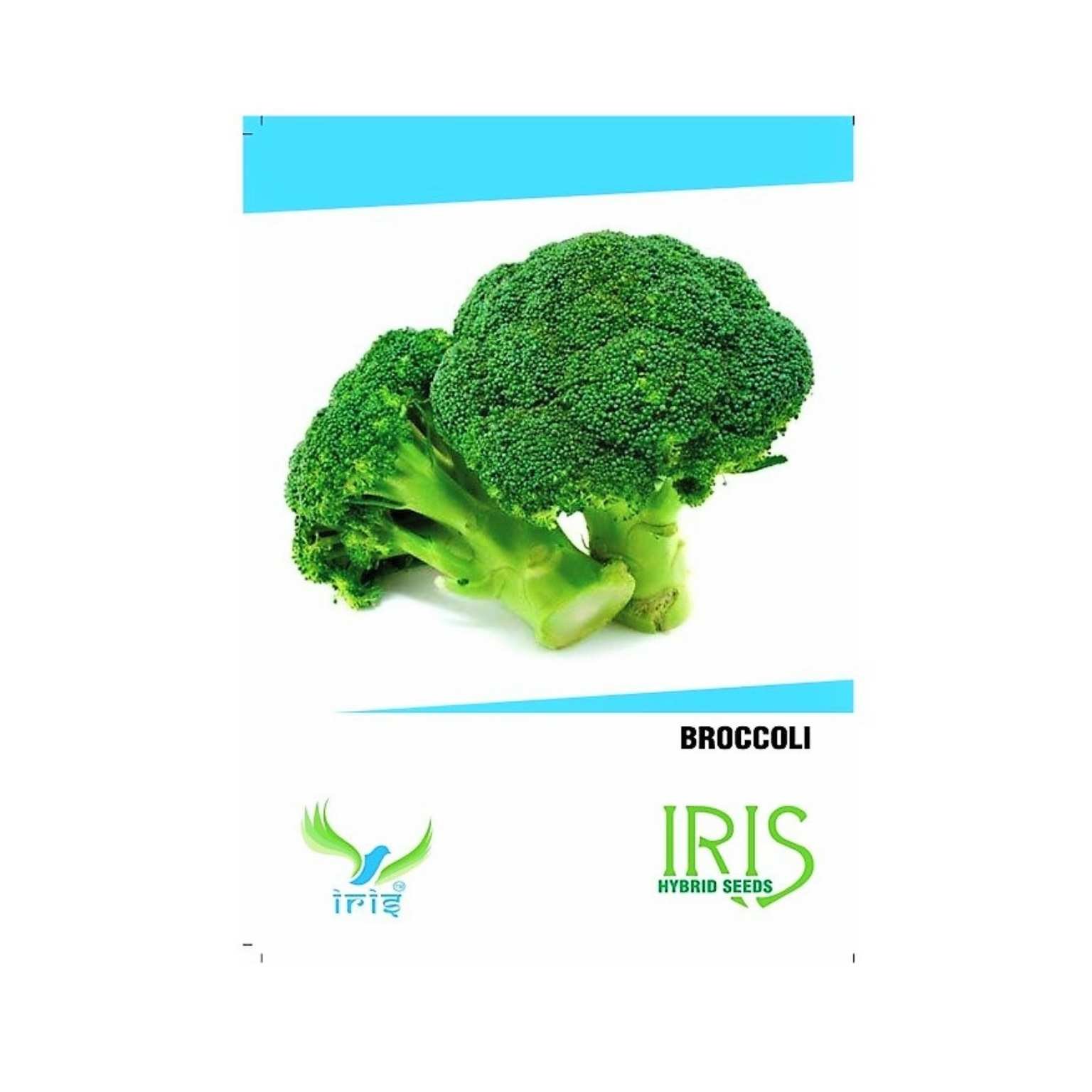 Iris Hybrid Broccoli Vegetable Seeds