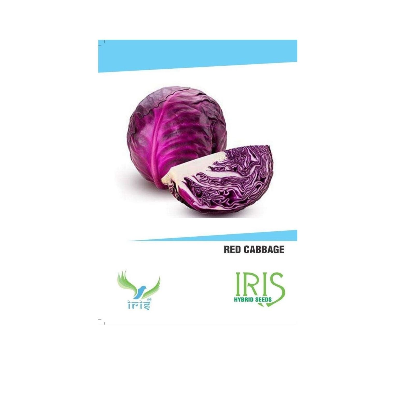 Iris Hybrid Cabbage Red Vegetable Seeds