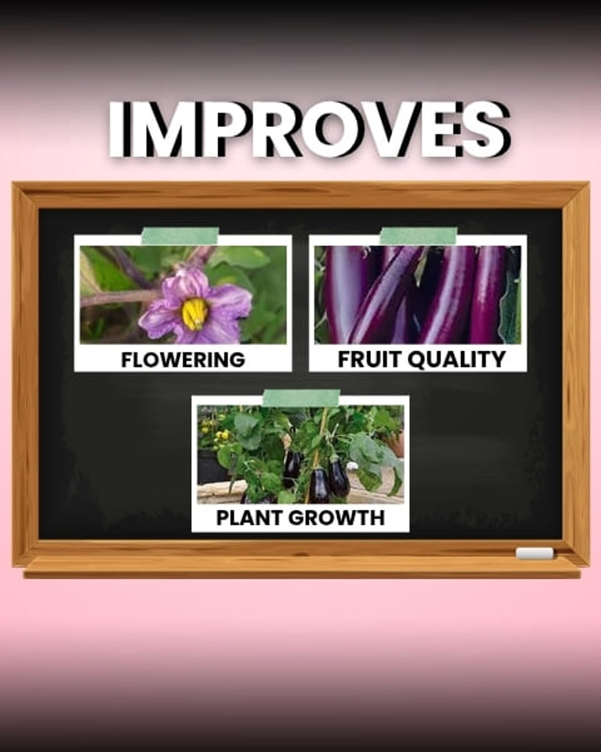 Katyayani Organics Flowering Booster Organic Fertilizer With Mix Micronutrient Booster