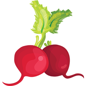 Beetroot