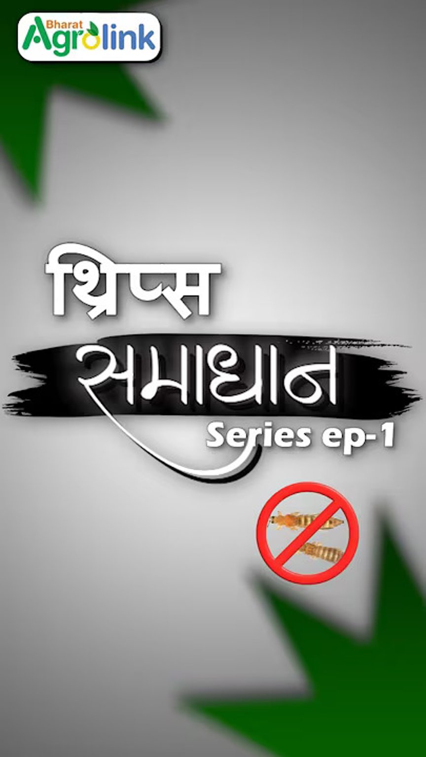 थ्रिप्स के शुरुआती लक्षण जानें वरना देर हो जाएगी! | Episode 1