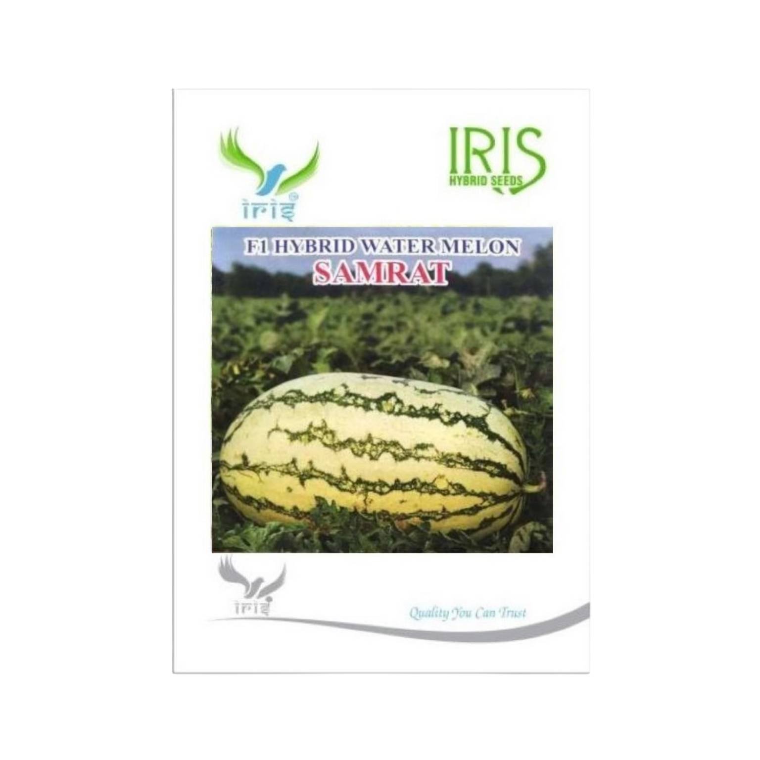 Iris Hybrid Watermelon Samrat Fruit Seeds