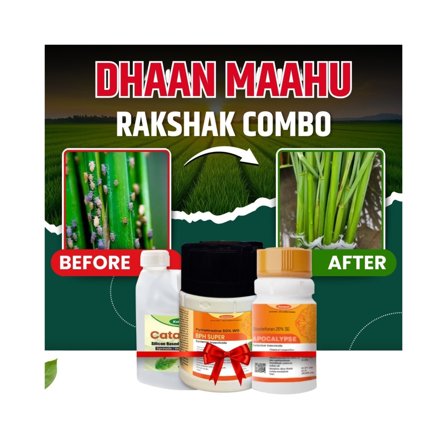 Katyayani Dhaan Mahu Rakshak Combo