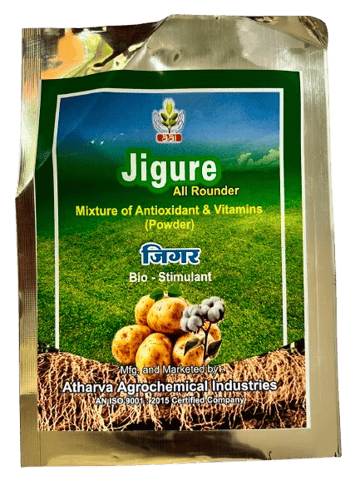 JIGURE ALL ROUNDER