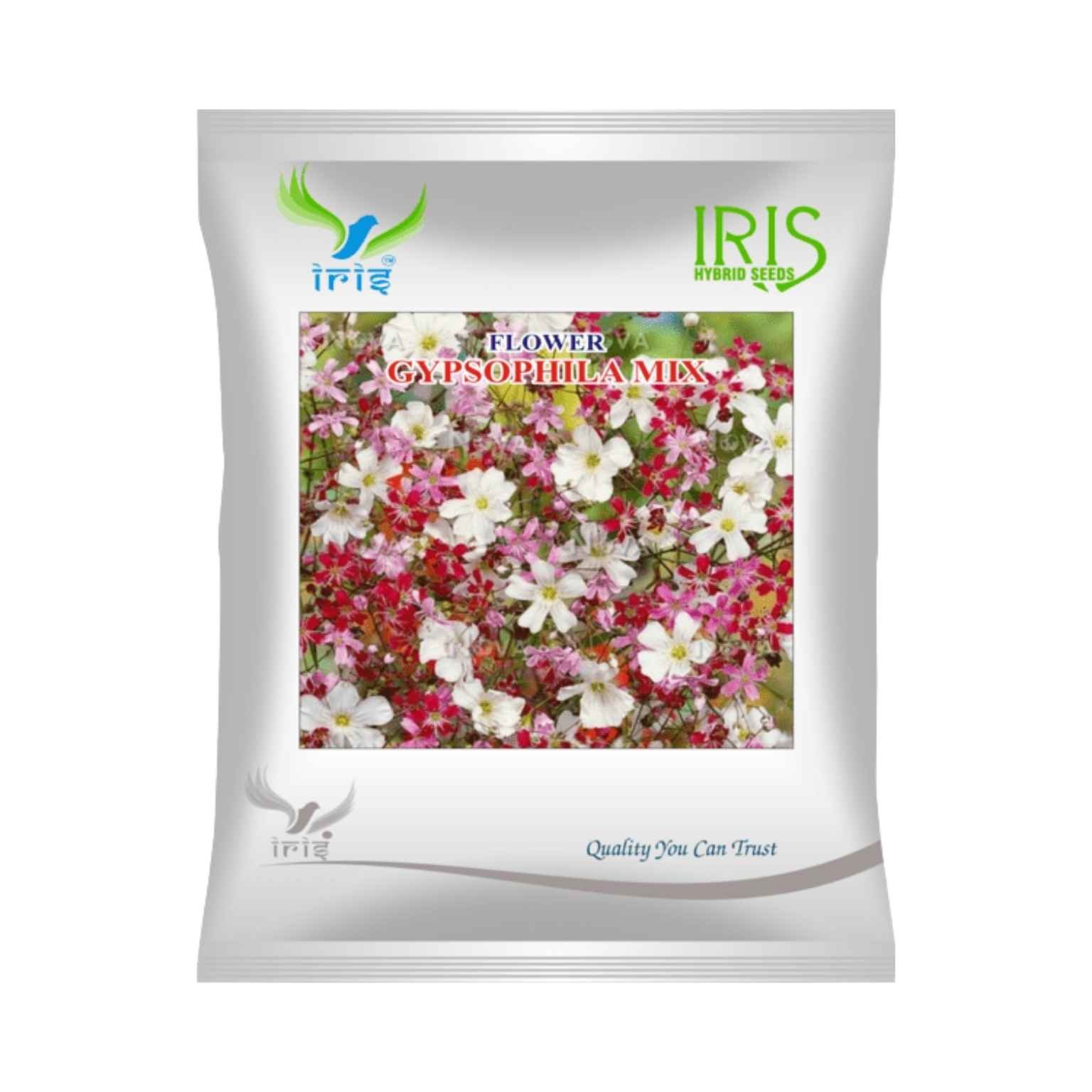 Iris Hybrid Gypsophila Mix Flower Seeds