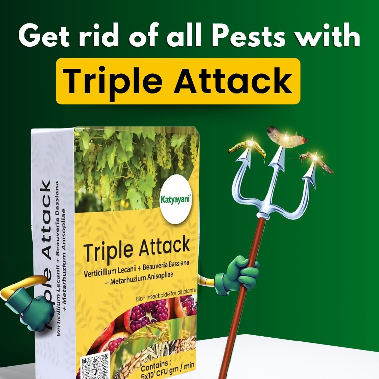 Katyayani Triple Attack Verticillium Lecanii + Beauveria Bassiana + Metarhizium Anisopliae Bio Pesticide Powder | Katyayani Organics