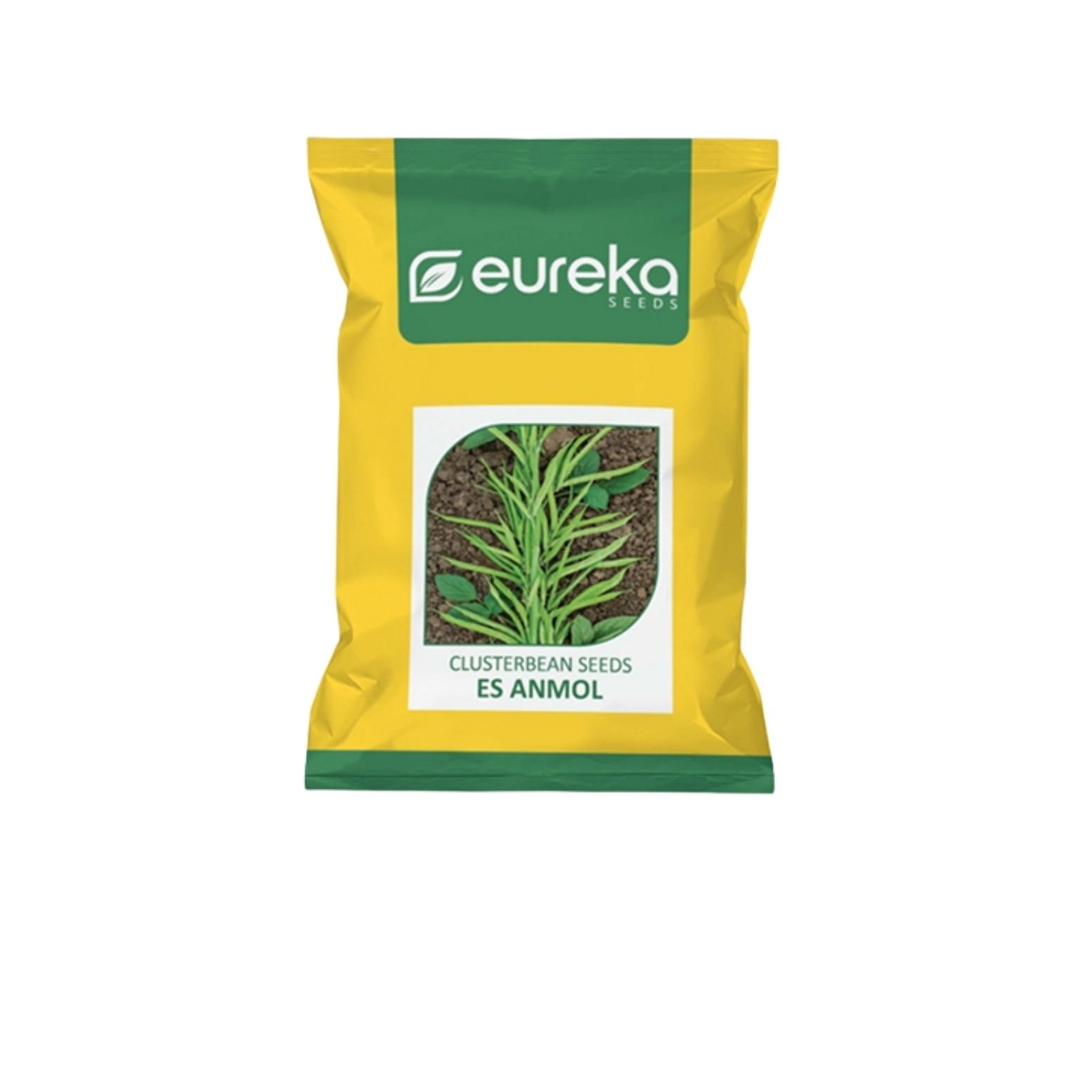 Eureka Clusterbean ES Anmol Improved Vegetable Seeds 500 GM
