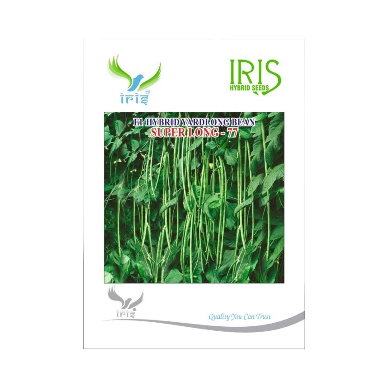 Iris Hybrid Yard long Beans Super Long-77 Vegetable Seeds
