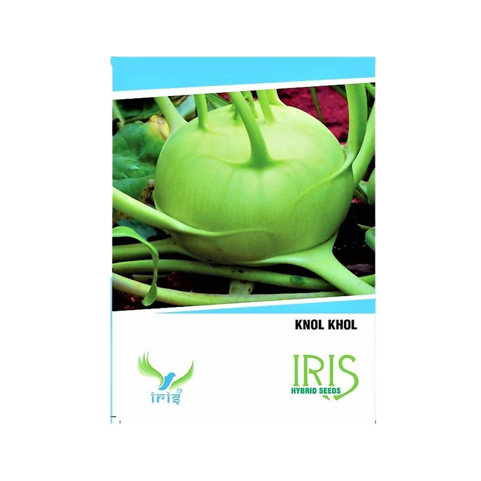 Iris Hybrid Knol Khol Vegetable Seeds