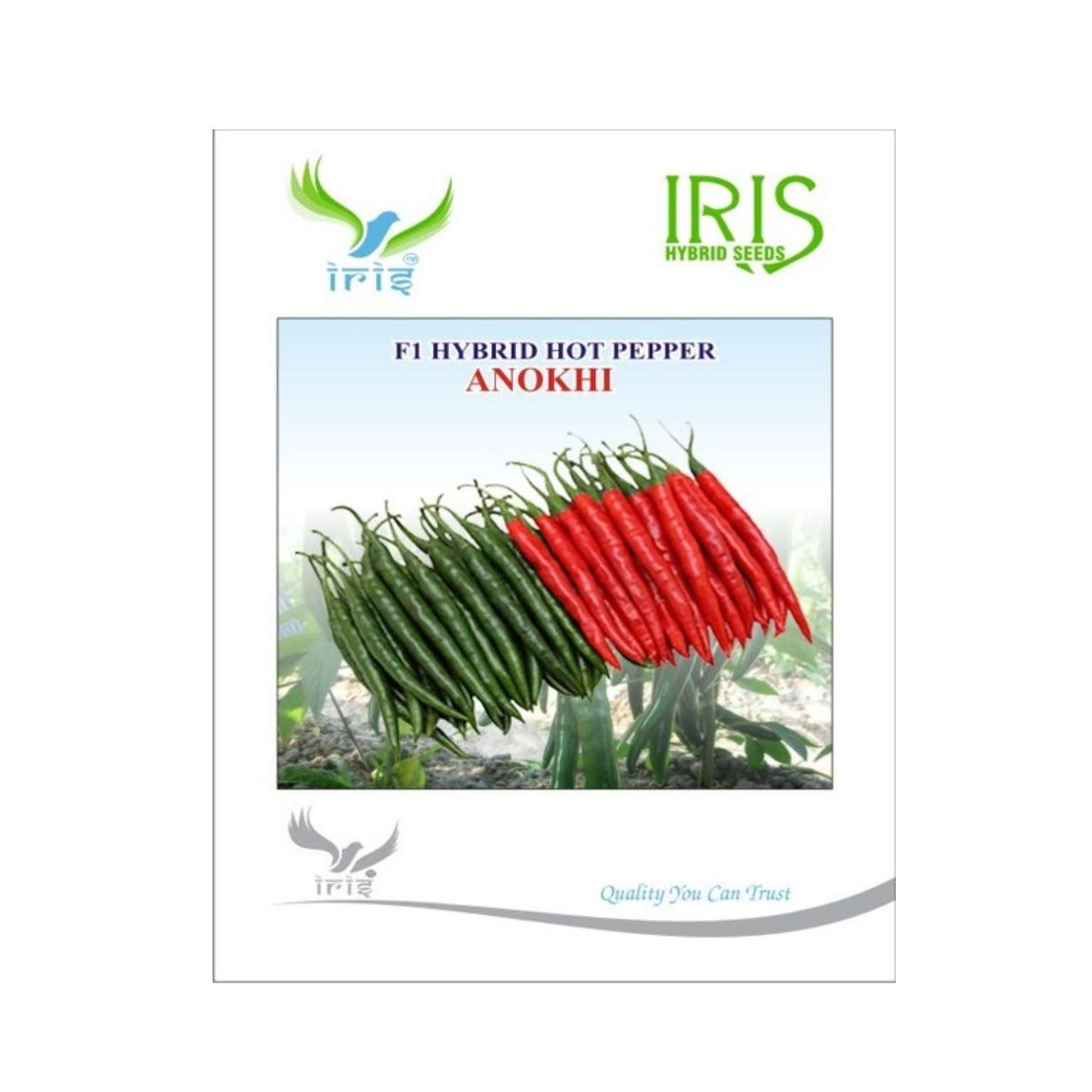 Iris Hybrid Hot Pepper Anokhi Vegetable Seeds