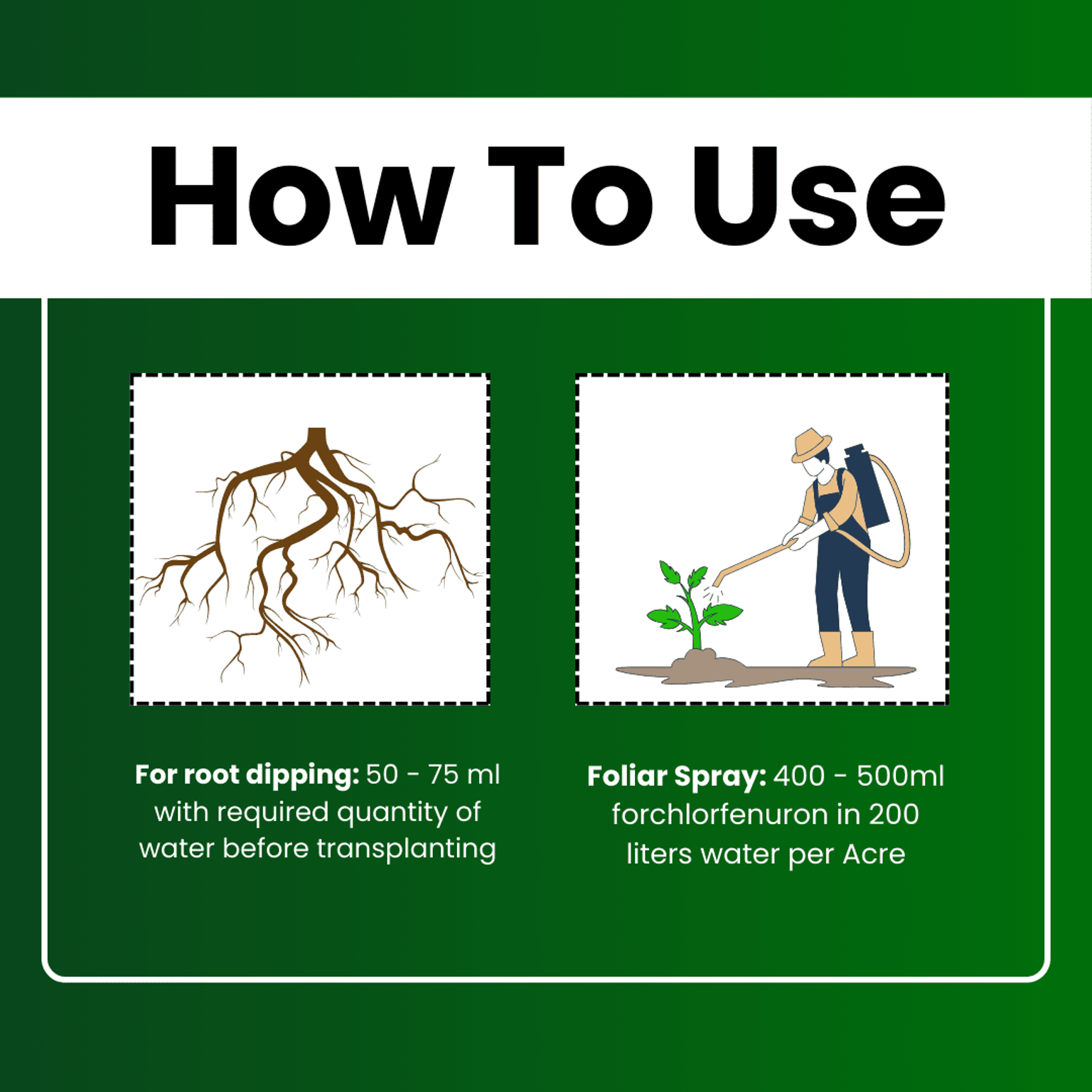 Katyayani CPPU Forchlorfenuron 0.1 % L  Plant Growth Regulator