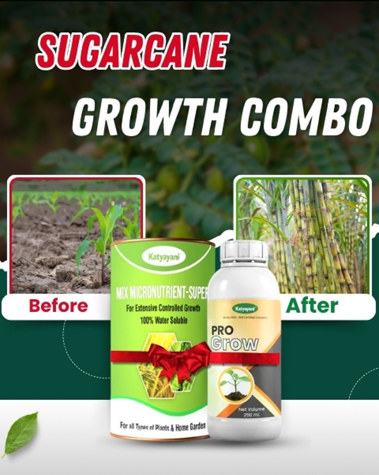 Katyayani Sugarcane Growth Combo  For Vigorous Cane Growth & Higher Yield  Balanced Nutrition & Growth Regulation (250 ml Pro Grow + 100 gm Mix Micronutrient