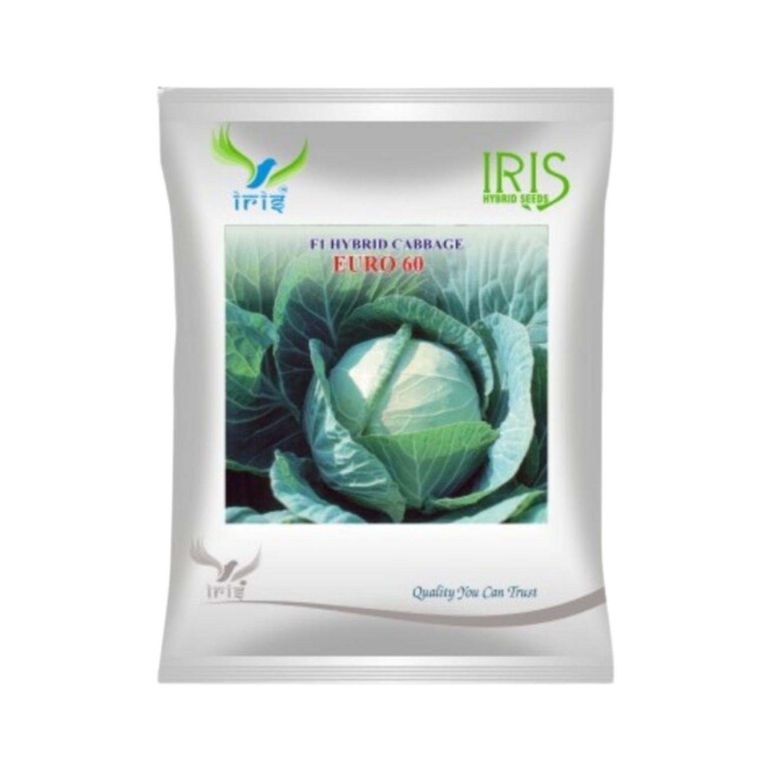 Iris Hybrid Cabbage Euro 60 Vegetable Seeds