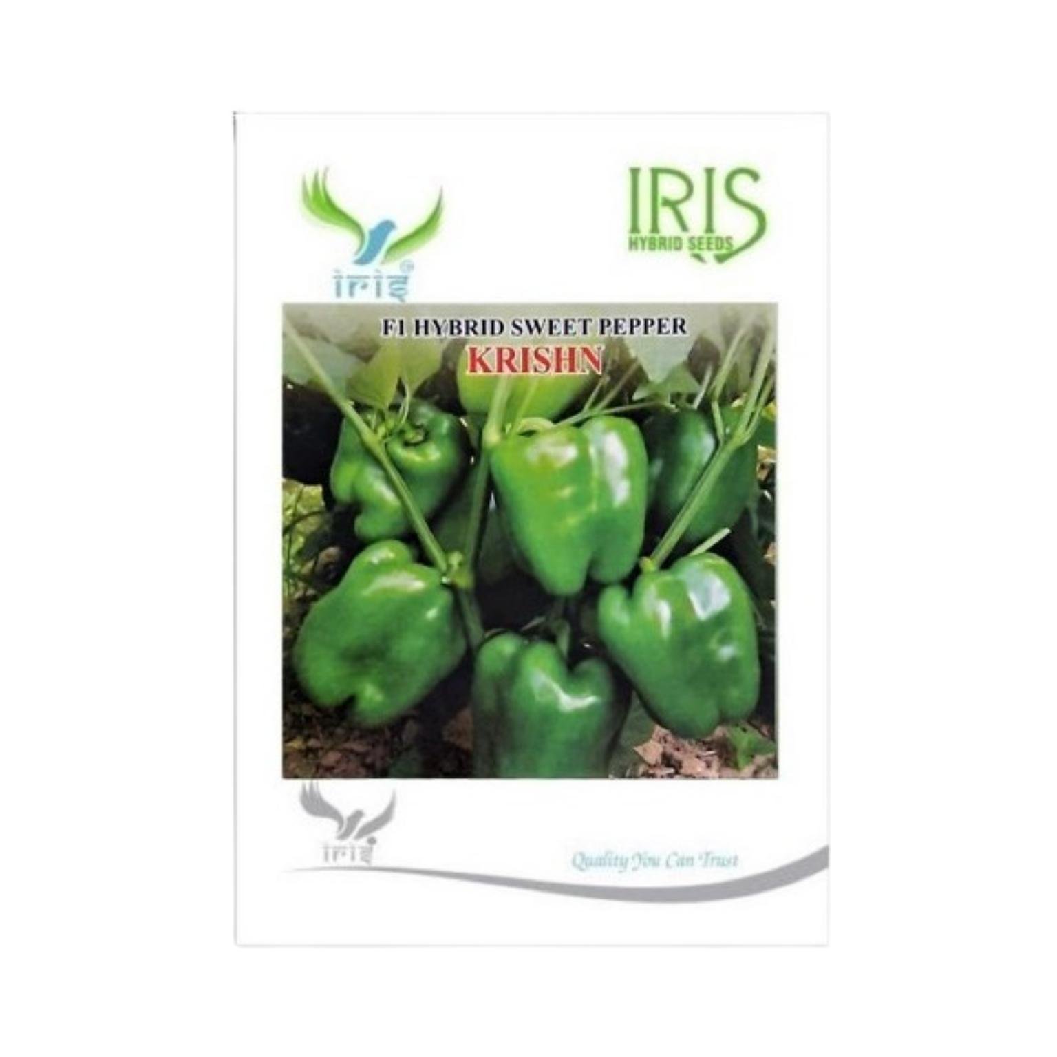 Iris Hybrid Capsicum Green Krishn Vegetable Seeds