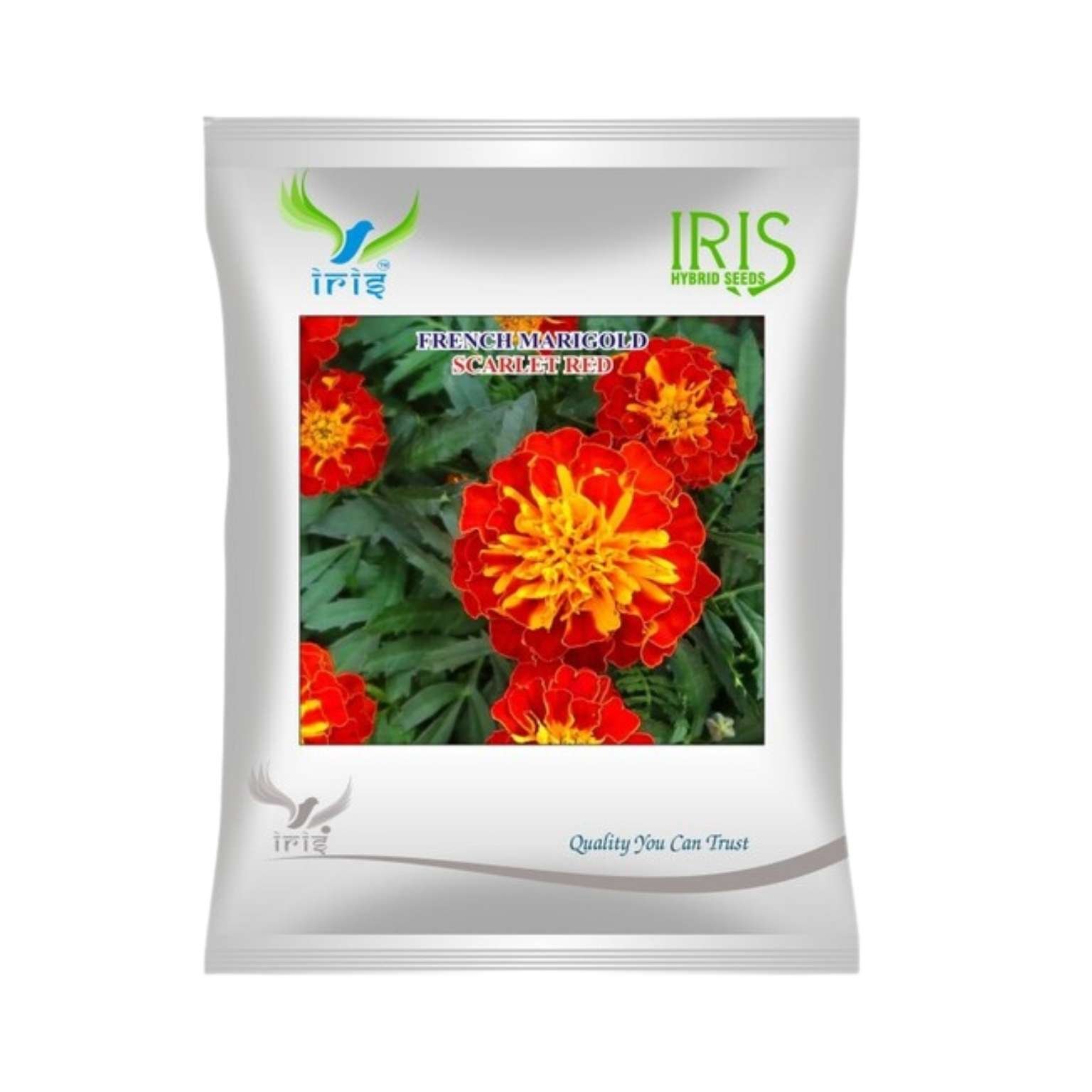 Iris Hybrid French Marigold Flower Seeds
