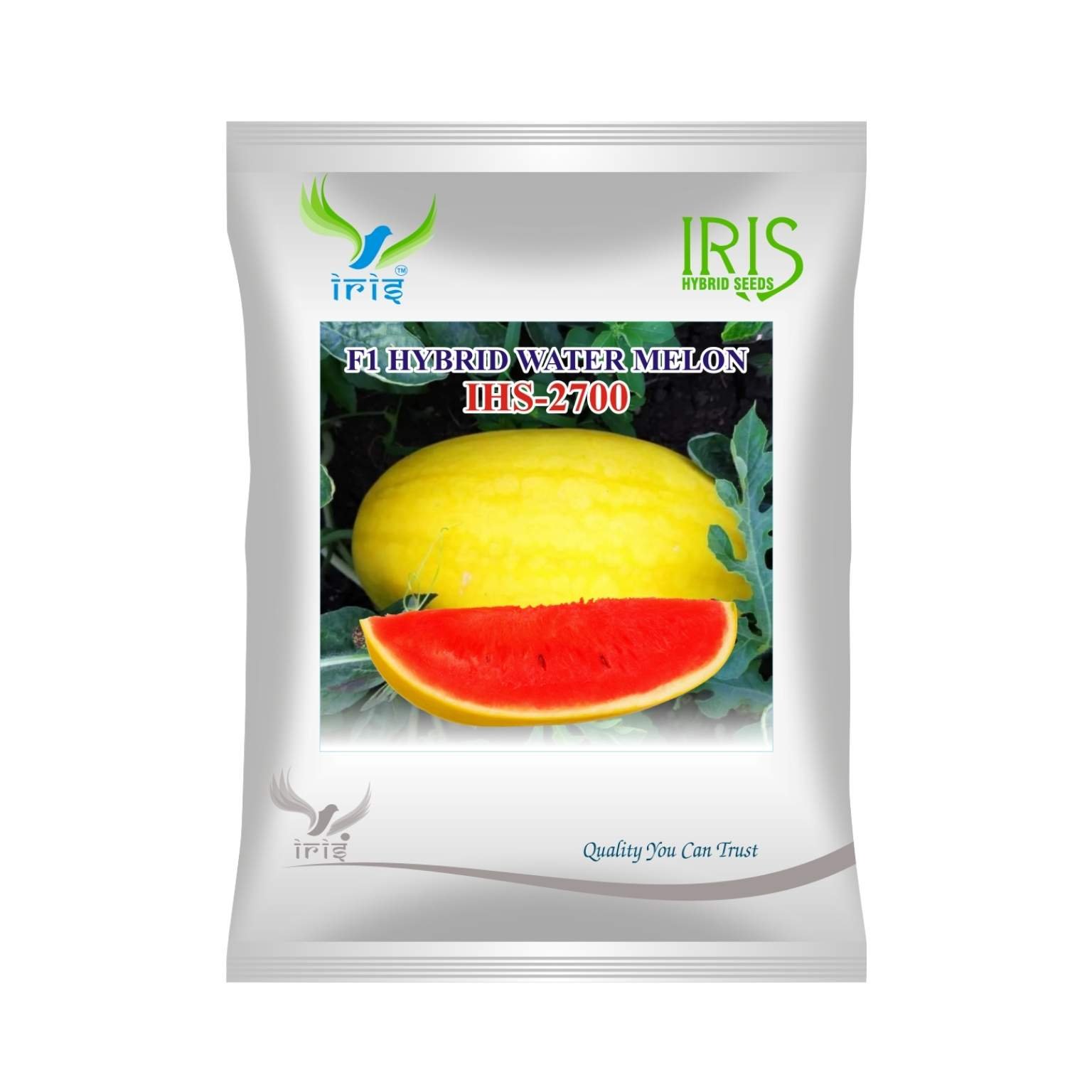 Iris Hybrid Watermelon IHS 2700 Fruit Seeds
