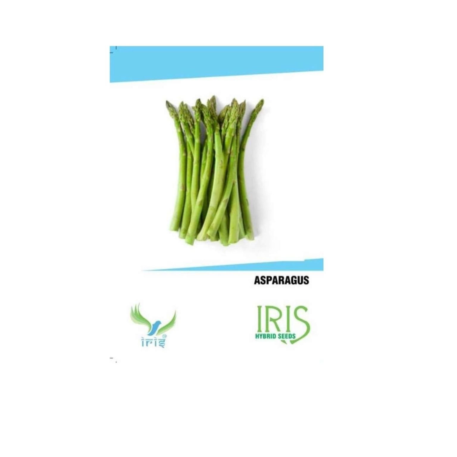 Iris Hybrid Asparagus Vegetable Seeds