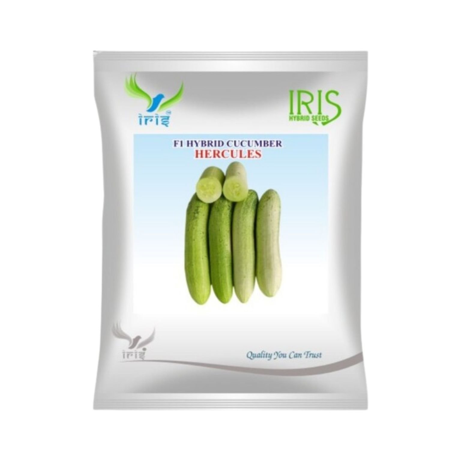 Iris Hybrid Cucumber Hercules Vegetable Seeds
